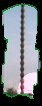 Coloana lui Brancus