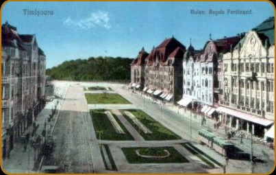 Aspect din orasul Timisoara